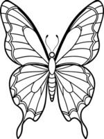 a butterfly, illustration line art vector