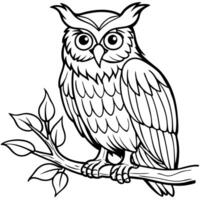 a wise old owl perched on a branch, illustration line art vector