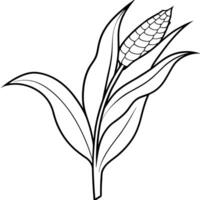 corn stalk on white background, illustration line art vector