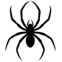 a black spider silhouette on a white background, illustration line art vector