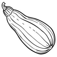 a simple zucchini with a slightly curved shape, illustration line art vector