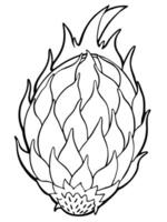 a dragon fruit with its oval shape and scaly exterior, and dragon fruit below it beneath, vector