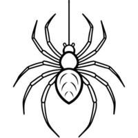 big spider hanging from a web, bold outlines with minimal web detail, illustration line art vector
