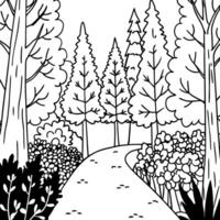 a path in a forest tall trees and bushes in the foreground, illustration line art vector