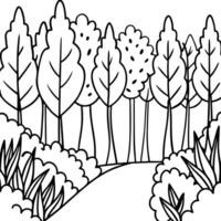 a path in a forest tall trees and bushes in the foreground, illustration line art vector