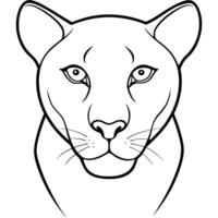 panther, illustration line art vector