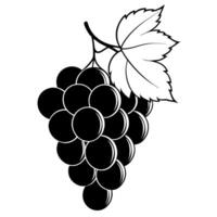 a close-up of a bunch of luscious, shiny black grapes hanging from a vine the deep, rich vector