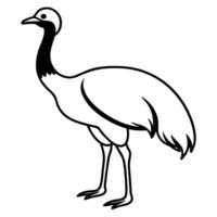 an image of cassowary silhouette with a white background, illustration line art vector