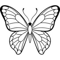 butterfly, illustration line art vector