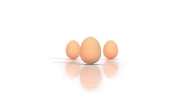 3D Realistic Eggs on a White Reflective Floor. Three Eggs Zooming Animation. 4K video