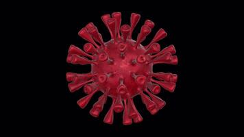 3D Virus Model Rotating on a Transparent Background. Seamless Loop. Medical. 4K video
