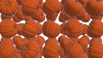 3D Pumpkins Falling Animation on a White Background. Pumpkin 3D Animation. 4K video