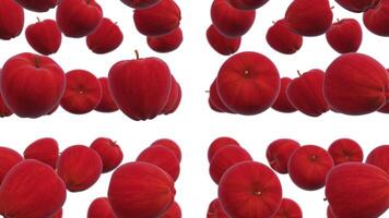 Apples Falling 3D Animation. 3D Apples Model Falling. Fruits Falling Animation. 4K video