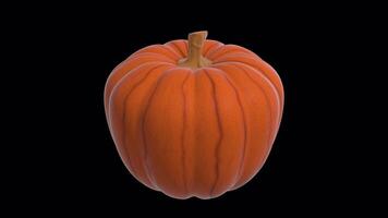 3D Pumpkin Rotating on a Transparent Background. Seamless Loop. Pumpkin 3D. 4K video