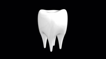 3d tournant dent sur une transparent Contexte. brillant dent. 4k video
