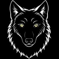 scary dark gray wolf canis lupus, direct eye contact in the dark looking at the camera on a black vector