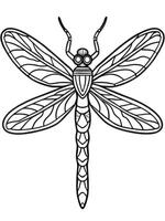 a dragonfly, illustration line art vector