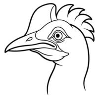 a cassowary head with white background, illustration line art vector