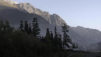 Sunrise above mountains and growing trees. Creative. Breathtaking wild nature background and mountain range on the background. photo