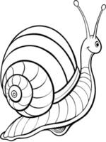 a snail, illustration line art vector