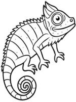 a chameleon changing, illustration line art vector