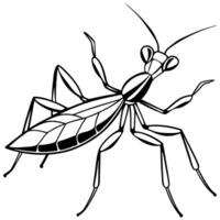 silhoutte image of a mantis icon with a white background, illustration line art vector