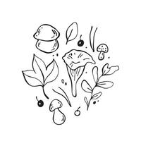 Hand drawn forest illustrations. Outline black mushroom elements vector