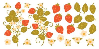 Red Berry Strawberry and Plant Branches Design Elements. Flat Set Flower, Petal, Strawberry Isolated on White Background vector