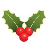 Christmas Holly Design Element with Green Leaves and Red Berries. Holiday Holly Branch Isolated on White vector