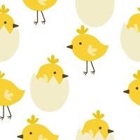 Seamless pattern of chickens in shell and without, yellow Easter birds on a white background vector