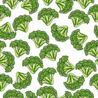 Broccoli seamless pattern, sprigs of green wax on a white background vector