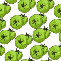 Green tomato seamless pattern, vegetable set on white background vector
