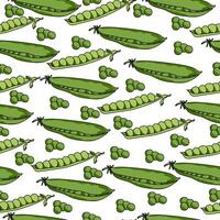 Green peas seamless pattern, open and closed pods and peas on a white background vector