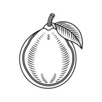 Guava Line Art Icon. Sleek Fruit Design on White Background vector