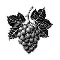 Bunch of Grape with Leaf illustration. Flat Icon Design for Food Apps vector