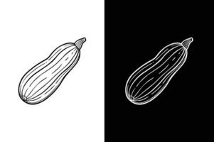 Zucchini Line Icon . Zucchini flat icon white background vector