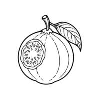 Elegant Guava Line Icon. Isolated Fruit Graphic on White Background vector