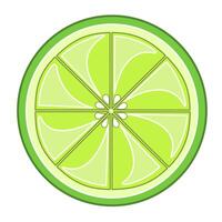 Grapefruit fruit slice illustration. Flat illustration of grapefruit citrus slice vector