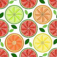 Seamless fruit pattern with slices of watermelon, lime, lemon, grapefruit, and orange vector