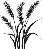 wheat clean simple silhouette black vector