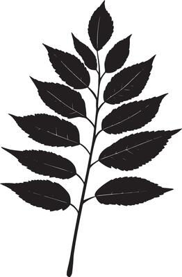 rowan tree leaf clean simple silhouette black