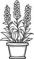 Heather flower in pot clean simple linear outline black vector