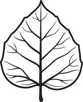 poplar leaf clean simple icon outline black vector