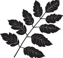 rowan tree leaf clean simple silhouette black vector