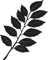 rowan tree leaf clean simple silhouette black vector