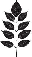 rowan tree leaf clean simple icon outline black vector