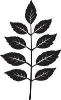 rowan tree leaf clean simple icon outline black vector