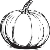 Pumpkin clean simple linear outline black vector