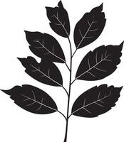 rowan tree leaf clean simple icon outline black vector