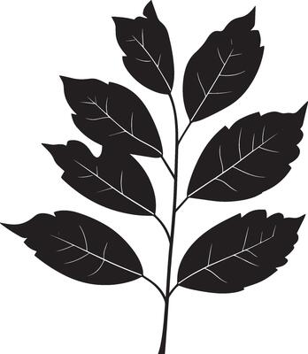rowan tree leaf clean simple icon outline black
